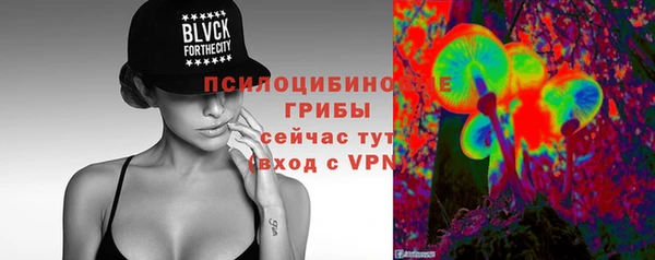 дмт Алзамай