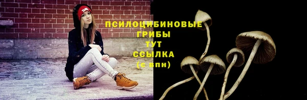 спиды Осинники